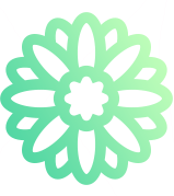 imgi_2_imgi_3_fest-icon-2